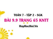 Bài 9.9 trang 65 Toán 7 Tập 2 Kết nối tri thức